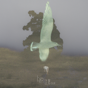 特毛AAAAAAAAAAA片
