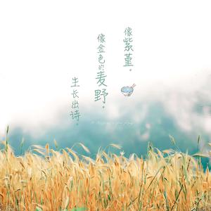 特毛AAAAAAAAAAA片
